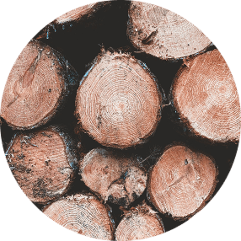 Legno o Carbone