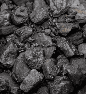 Carbone di legno XXL