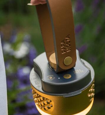 Cinghia di sospensione