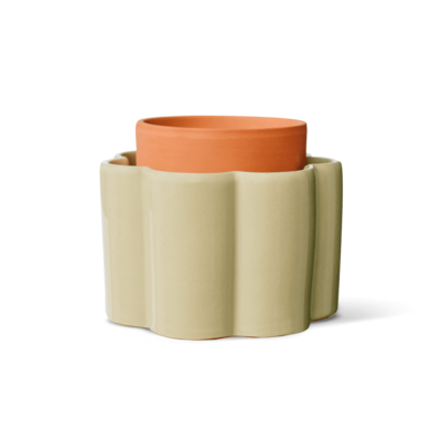 Vaso auto-irriguo