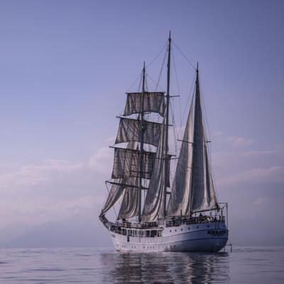 Sosteniamo Ali dell'Oceano