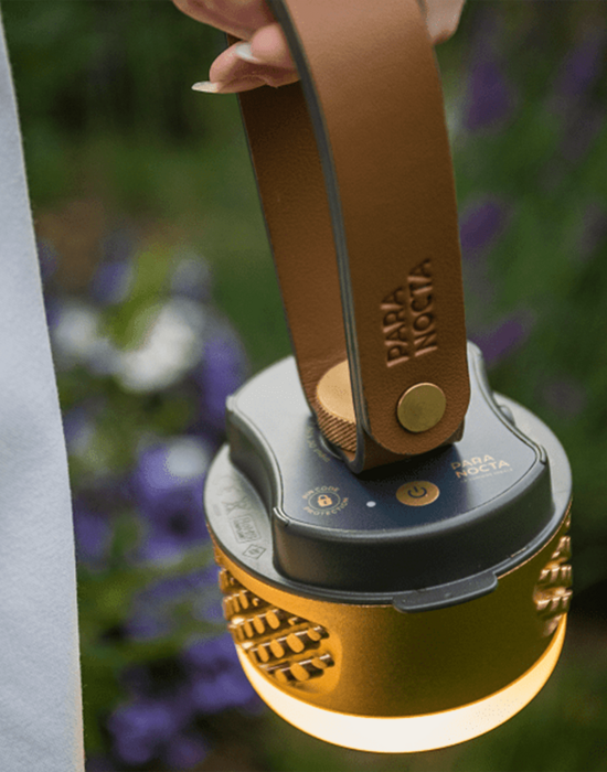 Cinghia di sospensione