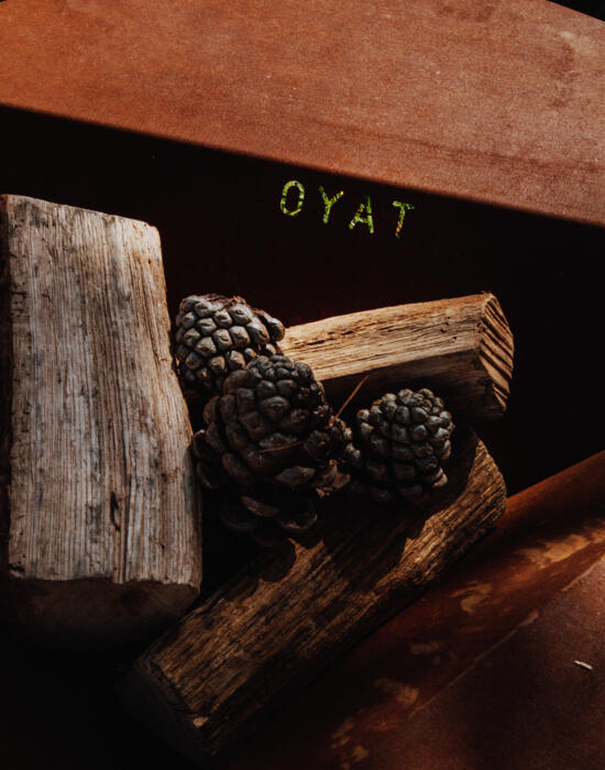 Braciere Buona Presa 80