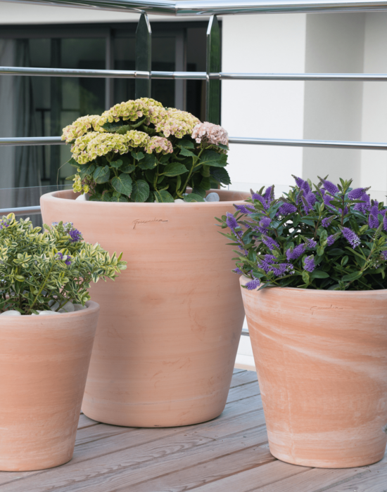 Piscina Contemporanea