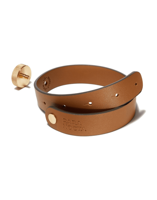 Cinghia di sospensione