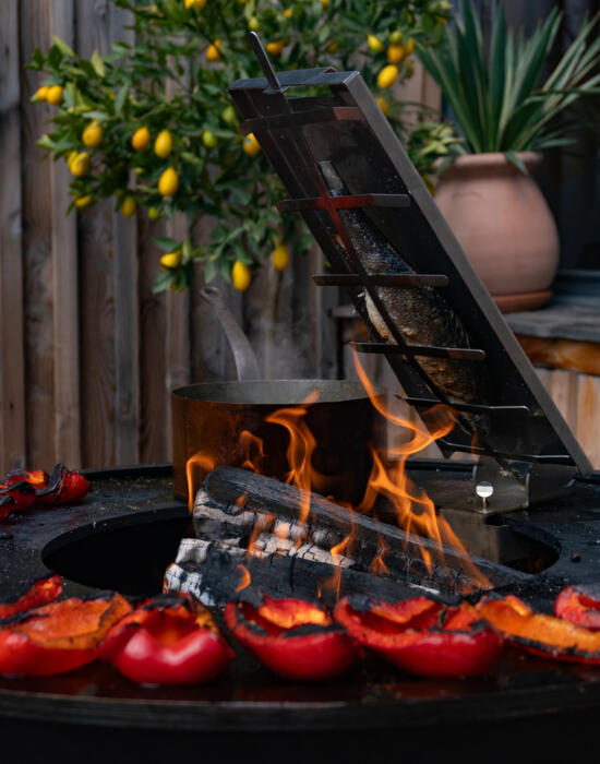 Bar & Risotto - Sauce Poivron