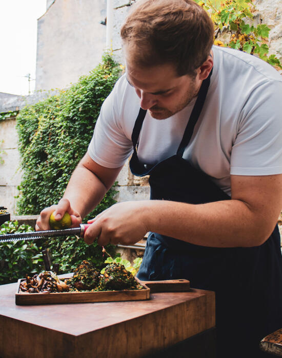 Tabllier bleu roi sur Robin - billot