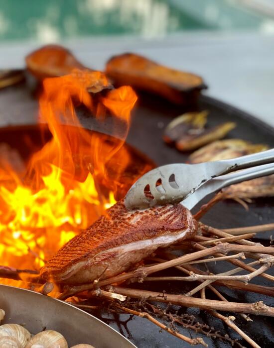 Petto di Anatra al Pompelmo sul Braciere